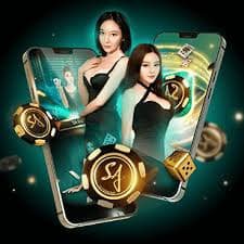 Antarmuka pasar bola voli platform pol88 menampilkan jadwal pertandingan dan informasi tim